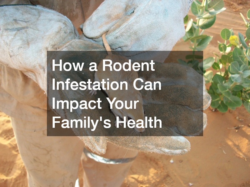 How a Rodent Infestation Can Impact Your Familys Health